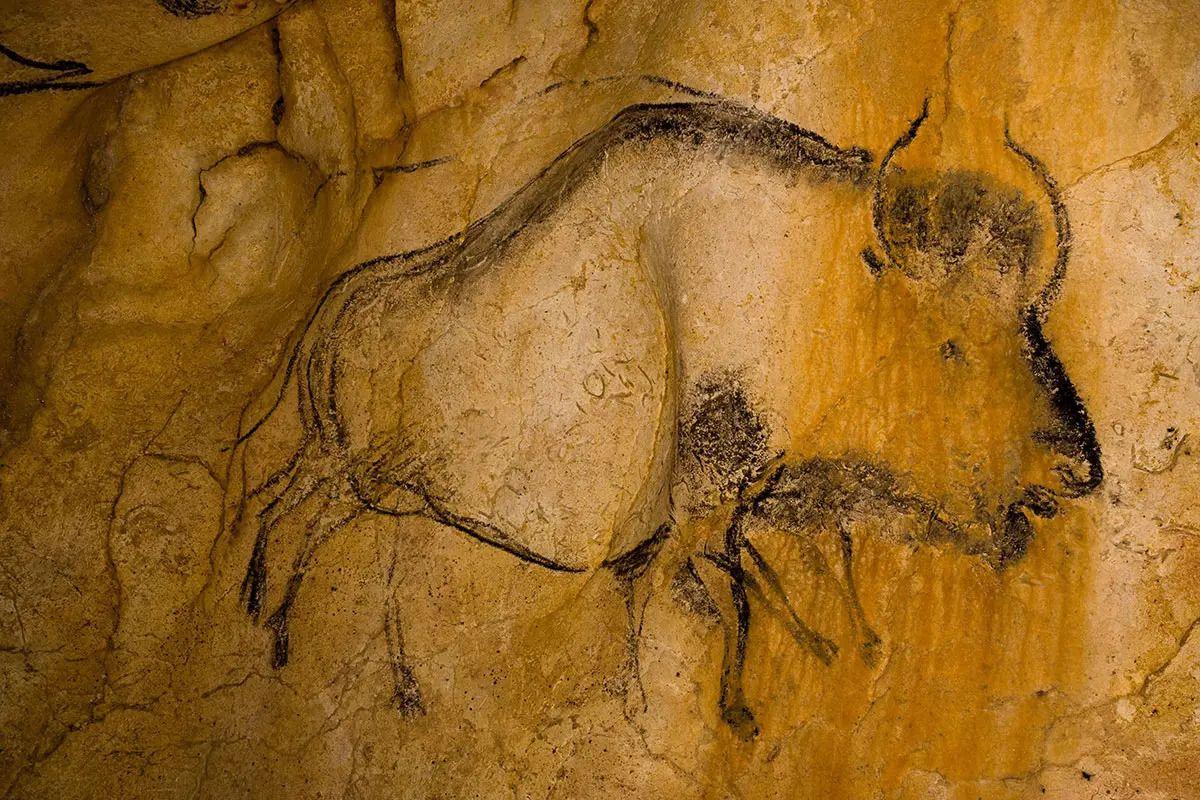 grotte chauvet