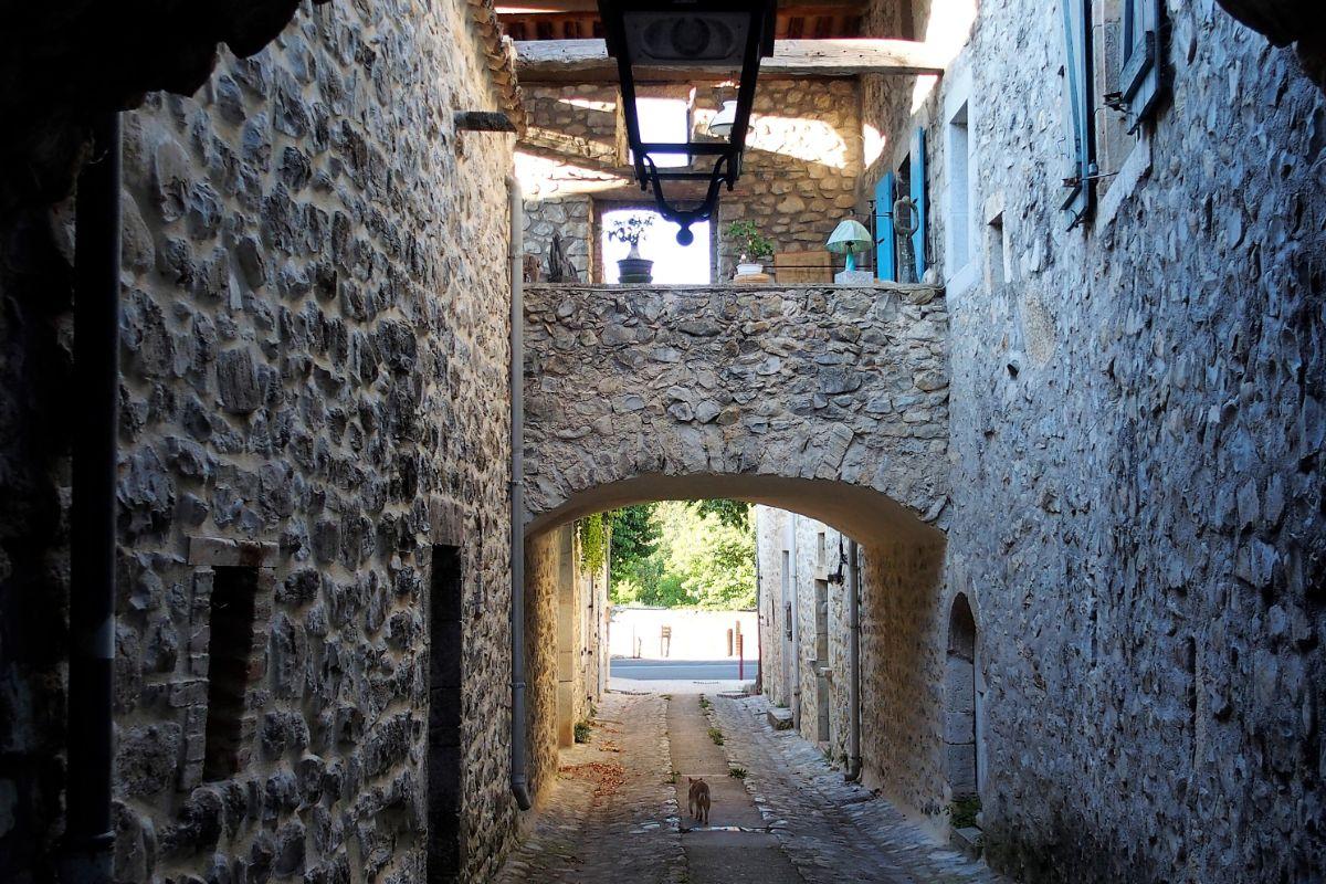 ruelle