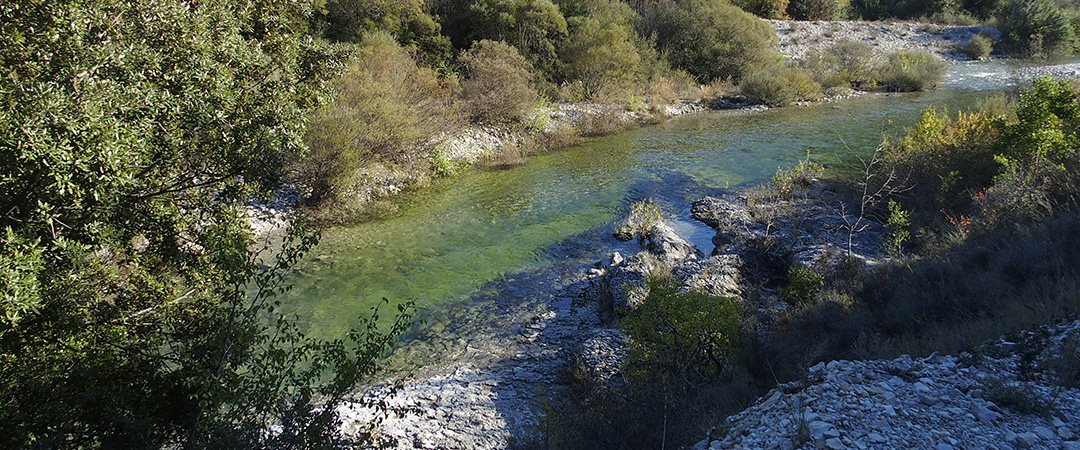 photo bannière